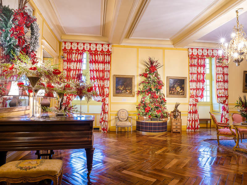 A Noël la nature s'invite au château !