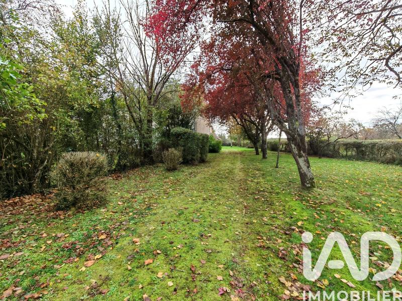 Maison de campagne - 100 m² - 5 pièces