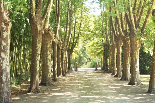 Les Luz Chambres d'hôtes