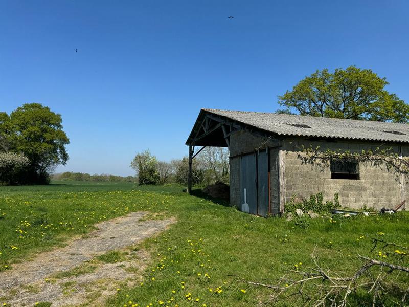 Longère - 500 m² - 3 pièces