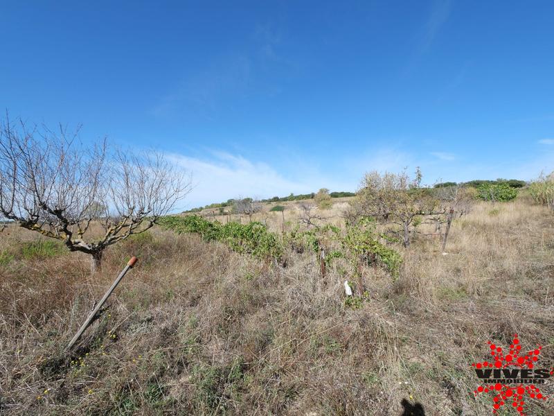 Terrain agricole - 5 075 m²