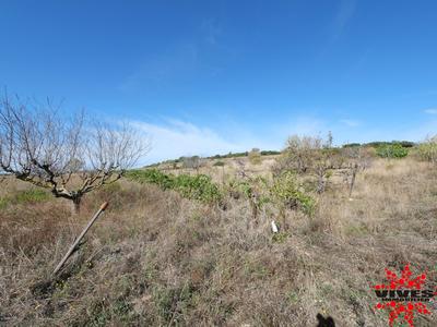 Terrain agricole - 5 075 m²