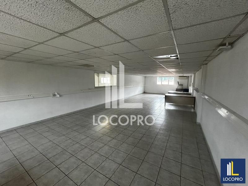 Local d'activité / Entrepôt - 1 800 m²