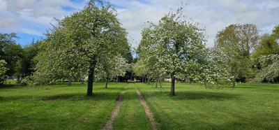 Maison - 89 m² - 4 pièces