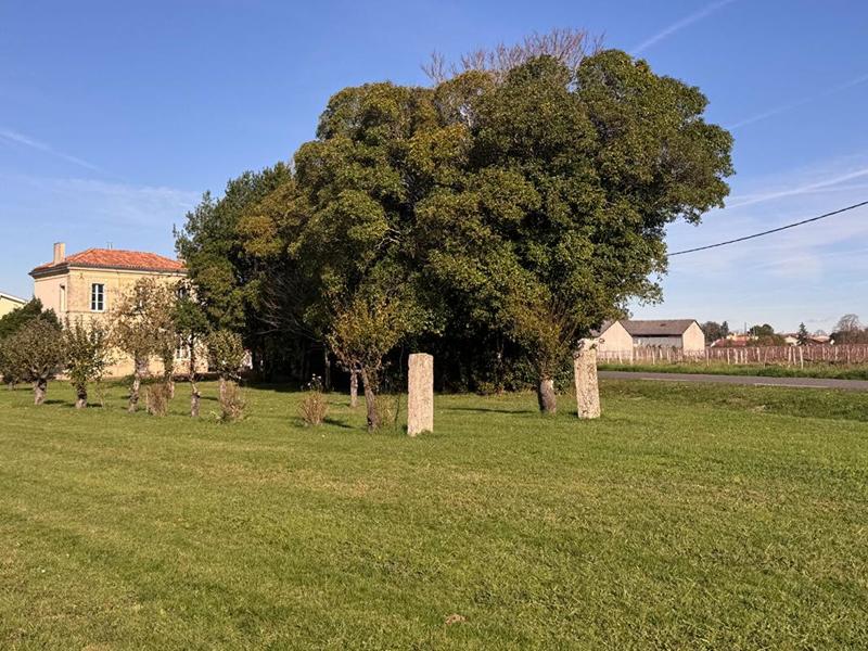 Propriété - 135 m² - 6 pièces