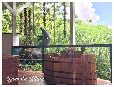 Propriété - 494 m² - 14 pièces