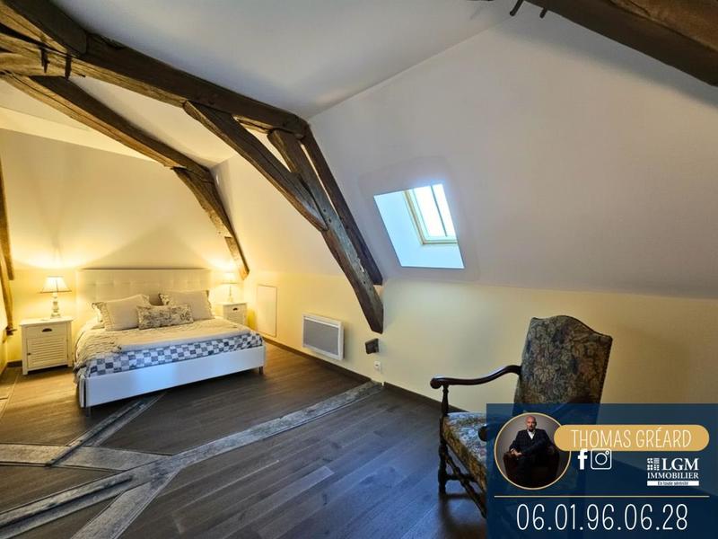 Château - 265 m² - 6 pièces