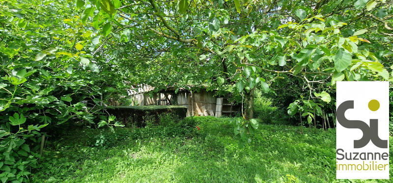 Viager - Ferme - 158 m² - 6 pièces