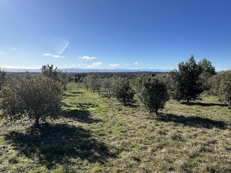 Terrain de loisirs - 10 189 m²