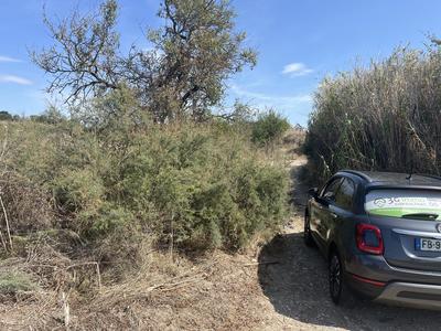 Terrain agricole - 3 390 m²