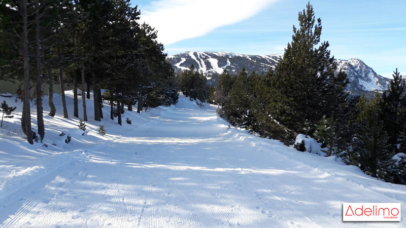 Châlet - 51 m² - 3 pièces