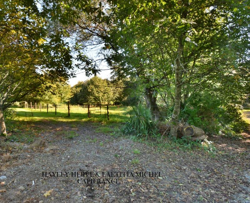 Maison - 250 m² - 9 pièces