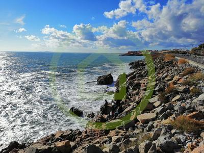 Local d'activités - 45 m² - 4 pièces