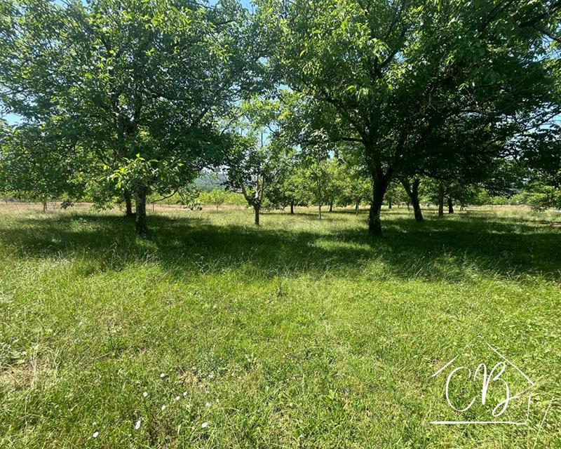 Terrain constructible - 4 264 m²