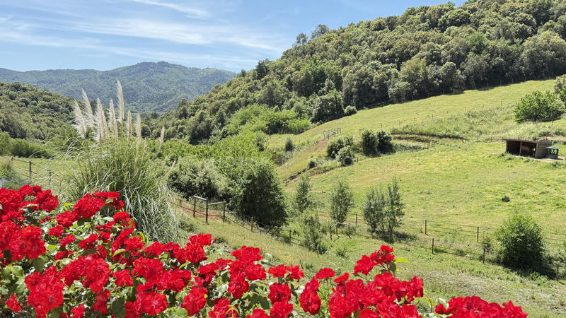 Maison - 200 m² - 6 pièces