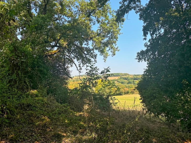 Maison - 148 m² - 5 pièces