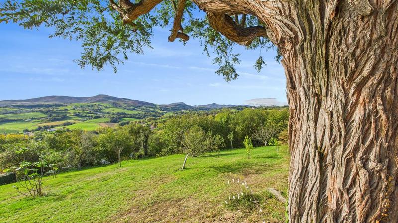 Maison - 199 m² - 6 pièces