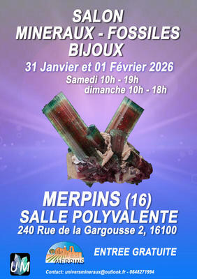 Bourse minéraux, fossiles, bijoux de créateur