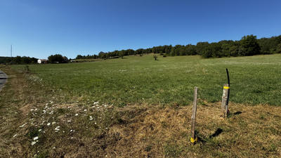 Terrain - 21 356 m²