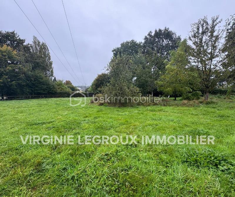 Terrain - 979 m²
