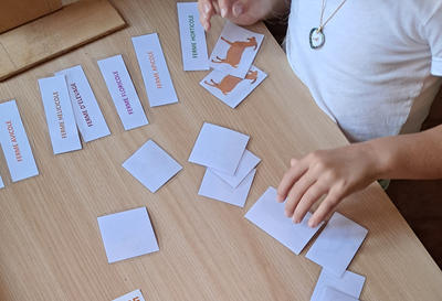 Animation de l'été "Productions locales, un lien avec le monde végétal"