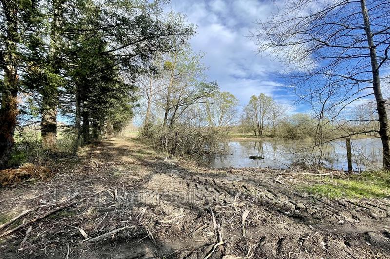 Terrain - 23 491 m²