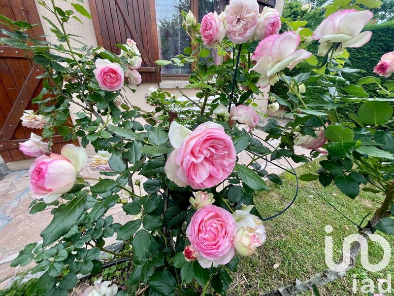 Maison - 106 m² - 4 pièces