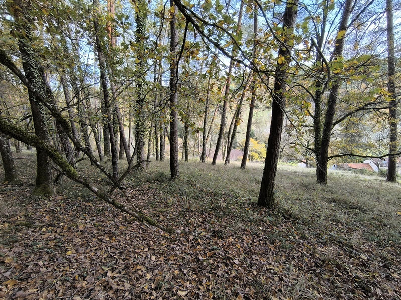 Maison - 127 m² - 6 pièces