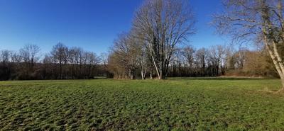 Maison - 147 m² - 6 pièces