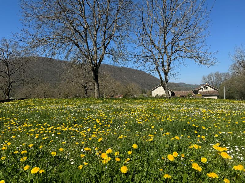 Terrain constructible - 756 m²