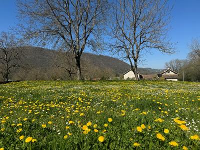 Terrain constructible - 756 m²