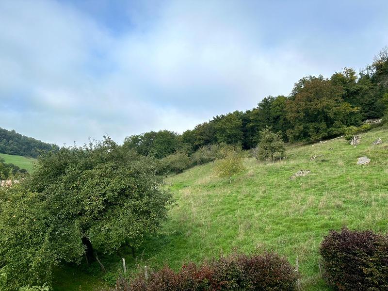 Maison - 210 m² - 9 pièces