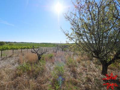 Terrain agricole - 5 075 m²