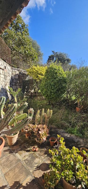 Viager - Villa - 216 m² - 8 pièces