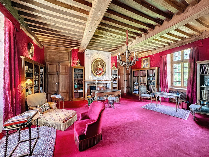 Château - 1 500 m² - 20 pièces