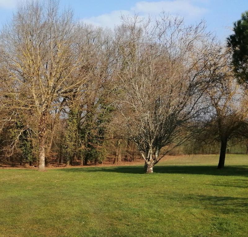 Maison ancienne - 198 m² - 9 pièces