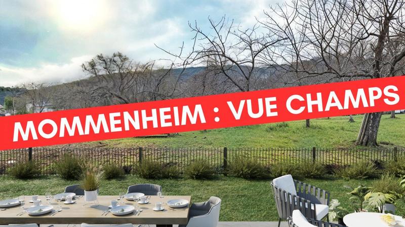 Appartement - 81 m² - 4 pièces