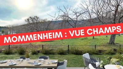 Appartement - 81 m² - 4 pièces