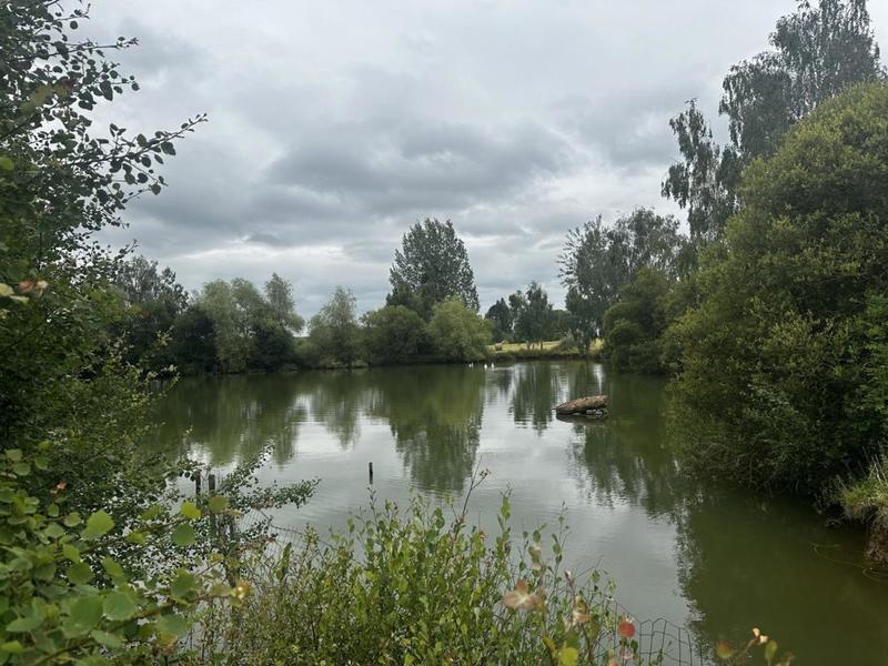 Terrain - 57 753 m²