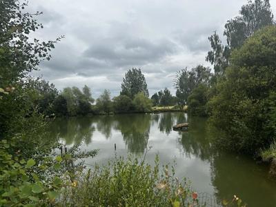 Terrain - 57 753 m²