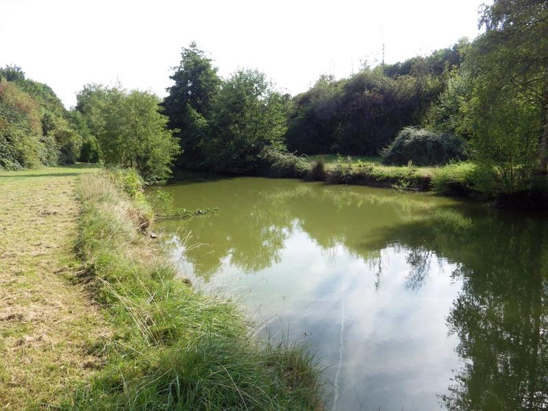 Terrain - 12 496 m²