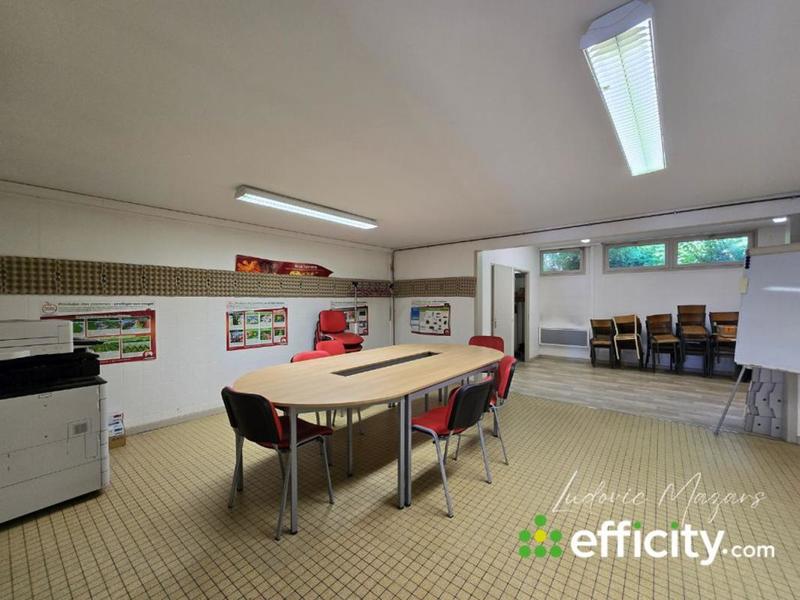 Bureau - 520 m² - 6 pièces