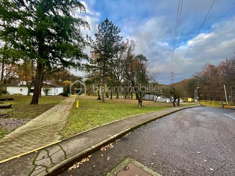 Bureau - 9 000 m² - 50 pièces