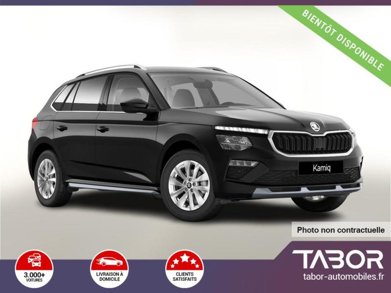 Skoda Kamiq 116 Selec Lodge Gps Cam siegesChauf