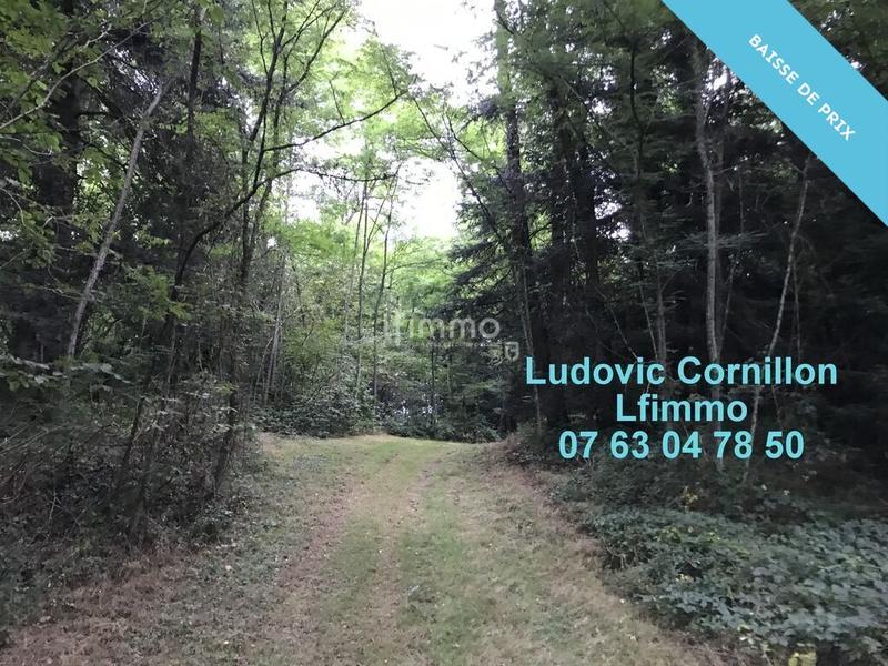 Propriété - 210 m² - 8 pièces