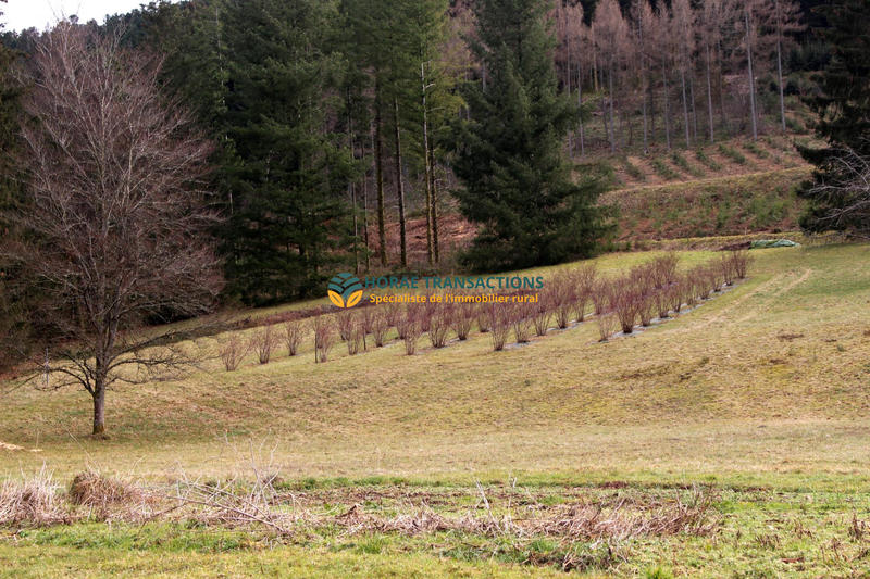 Maison - 323 m² - 15 pièces