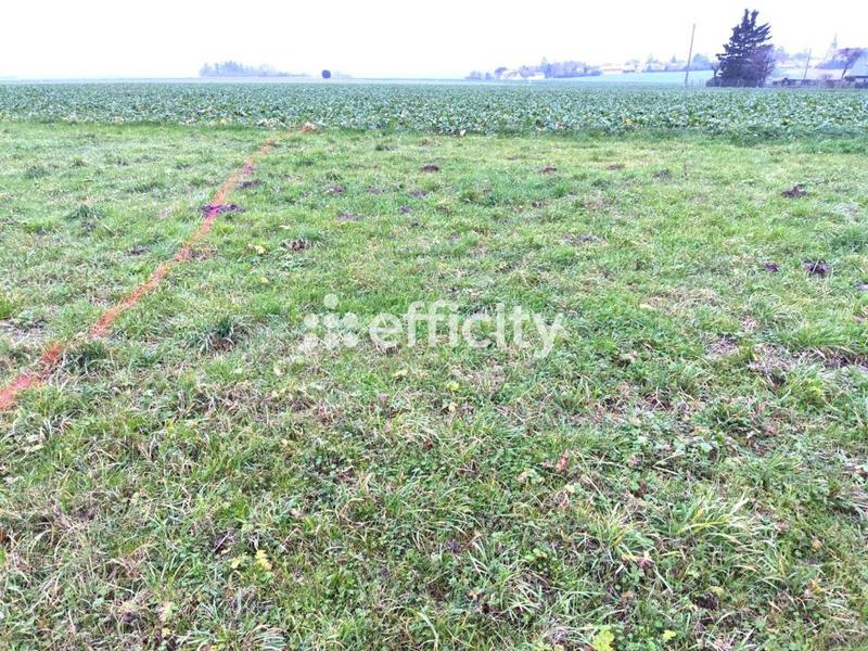 Bureau - 81 m² - 1 pièce