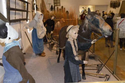 Musées et Traditions et Vie