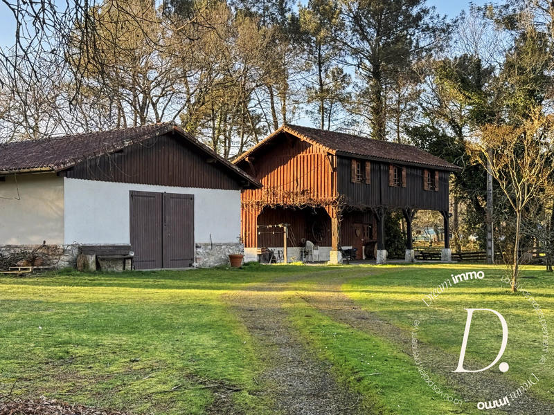 Maison ancienne - 250 m² - 9 pièces