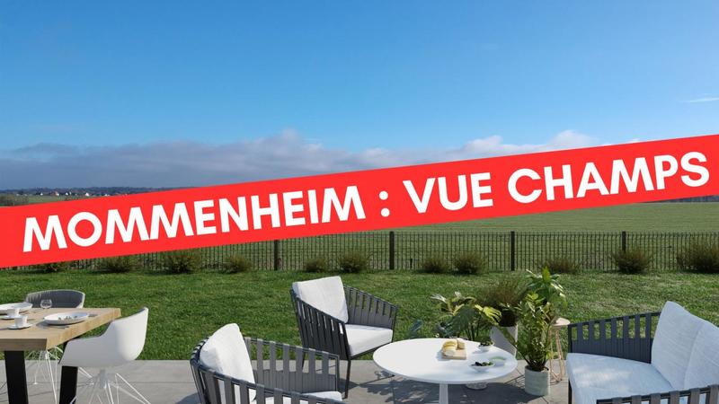 Appartement - 81 m² - 4 pièces